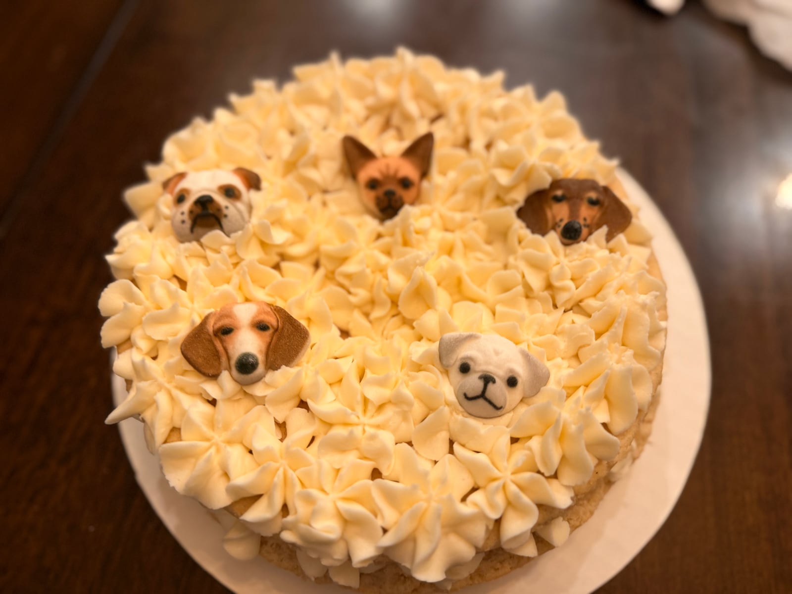 Puppy faces cake