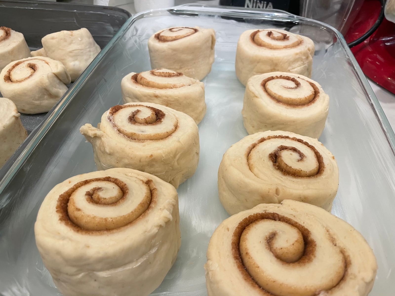 Cinnamon rolls, rising