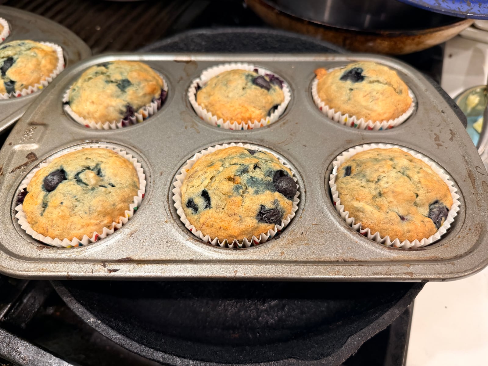 Blueberry muffins